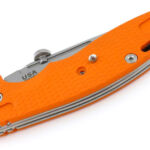With both the clip and blanking plate removed, there is only a single screw holding the handle scale on.