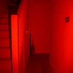 The red output.